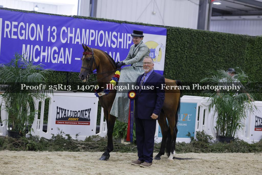 Proof Number 25R13_14070