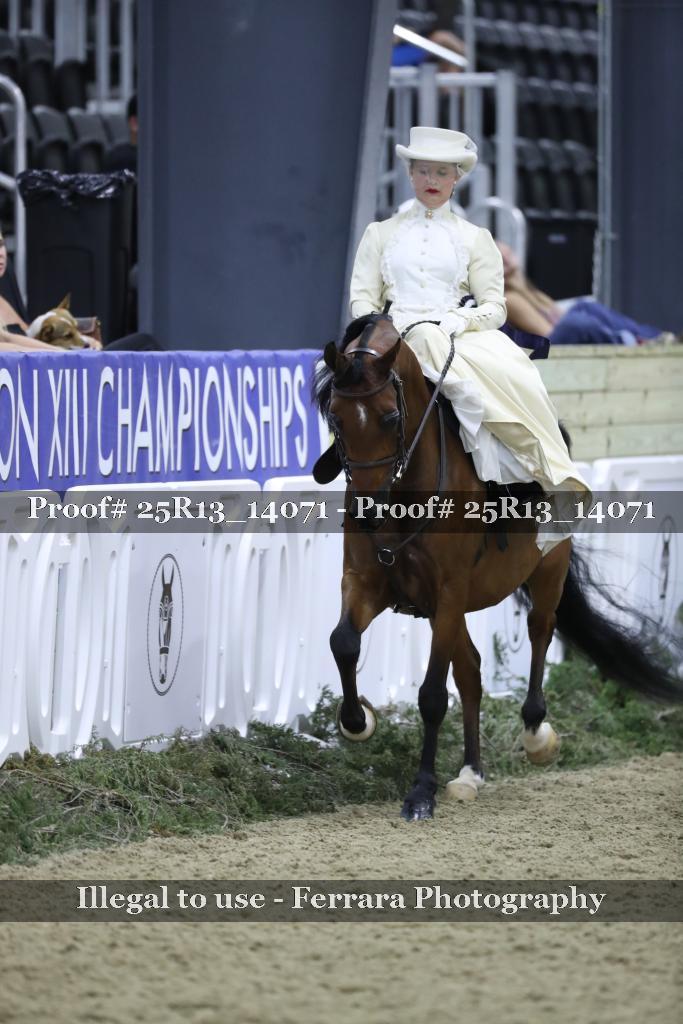 Proof Number 25R13_14071