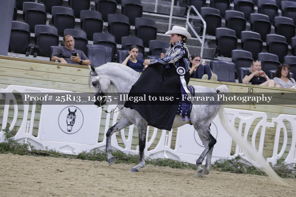 Proof Number 25R13_14075