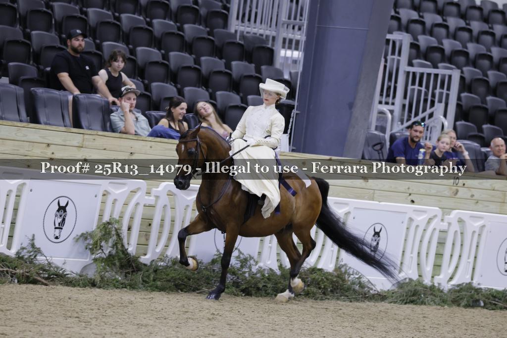 Proof Number 25R13_14079
