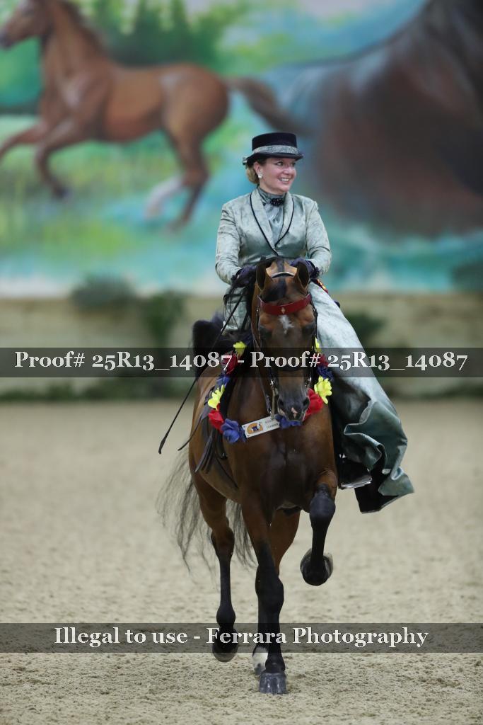 Proof Number 25R13_14087