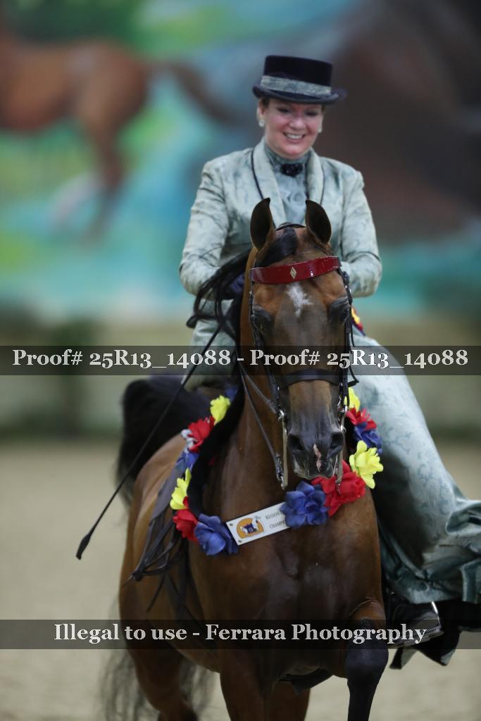 Proof Number 25R13_14088
