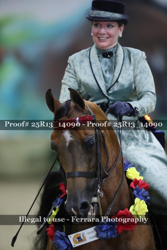 Proof Number 25R13_14090