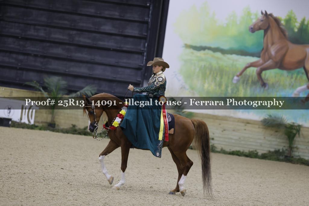 Proof Number 25R13_14091
