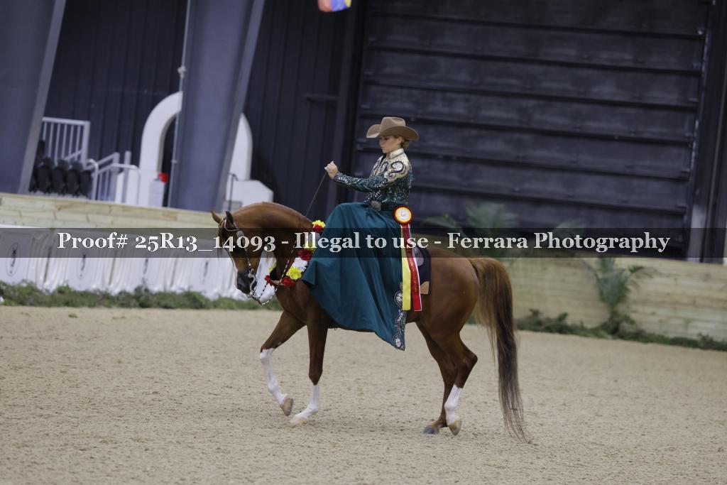 Proof Number 25R13_14093