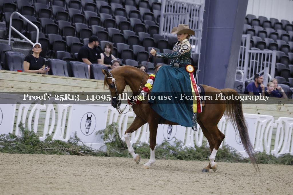 Proof Number 25R13_14095