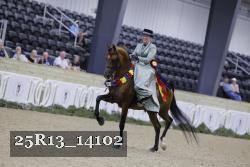 25R13_14102 thumbnail