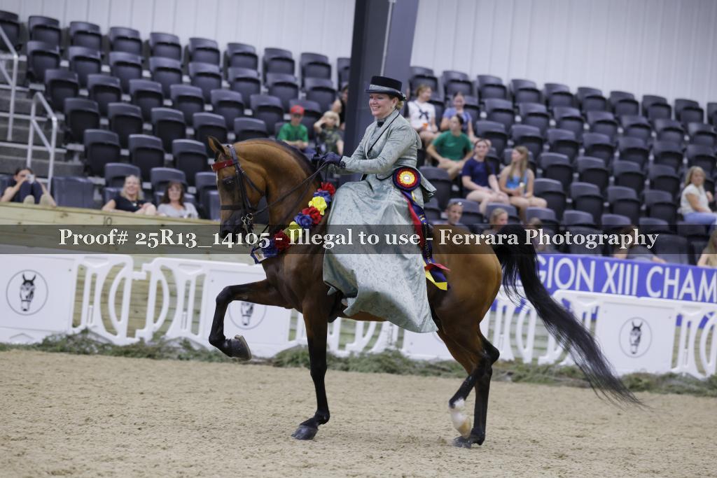 Proof Number 25R13_14105