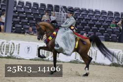 25R13_14106 thumbnail