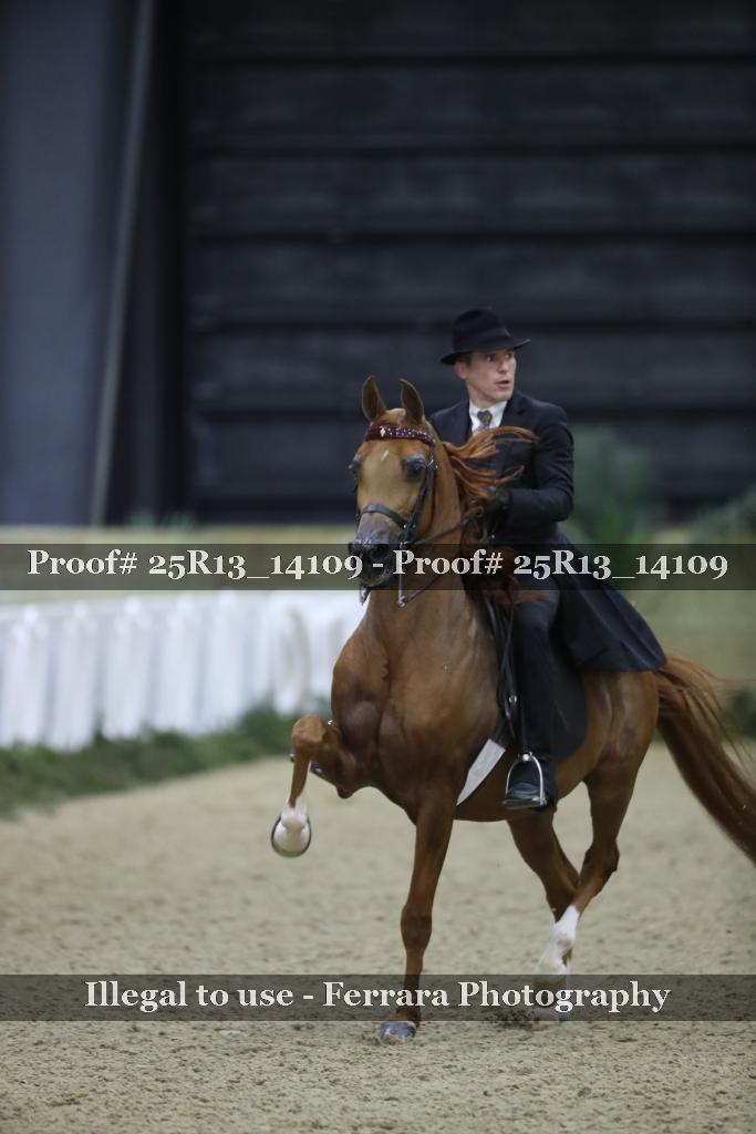 Proof Number 25R13_14109