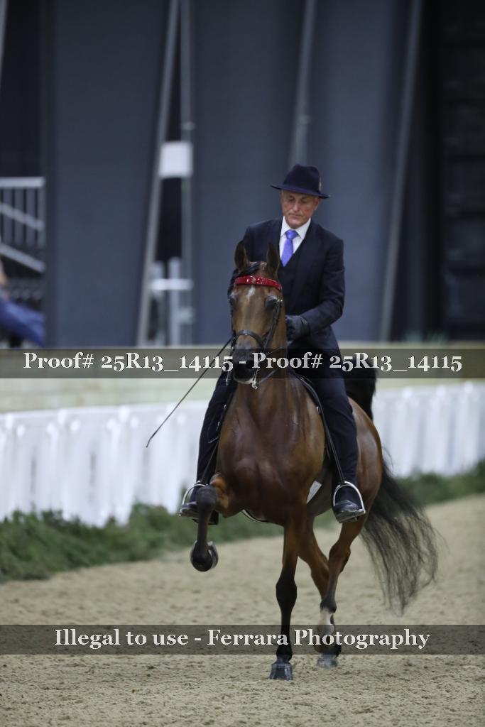 Proof Number 25R13_14115