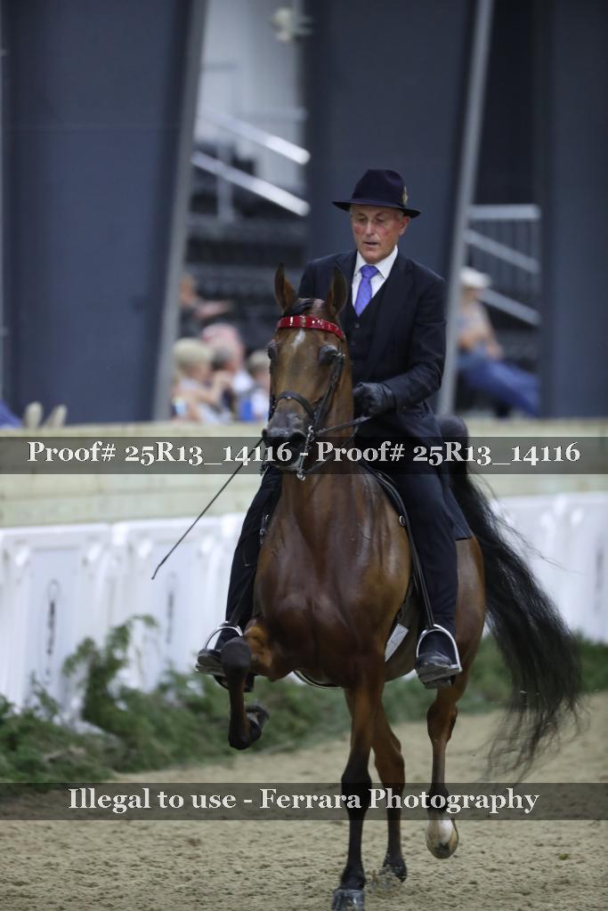 Proof Number 25R13_14116