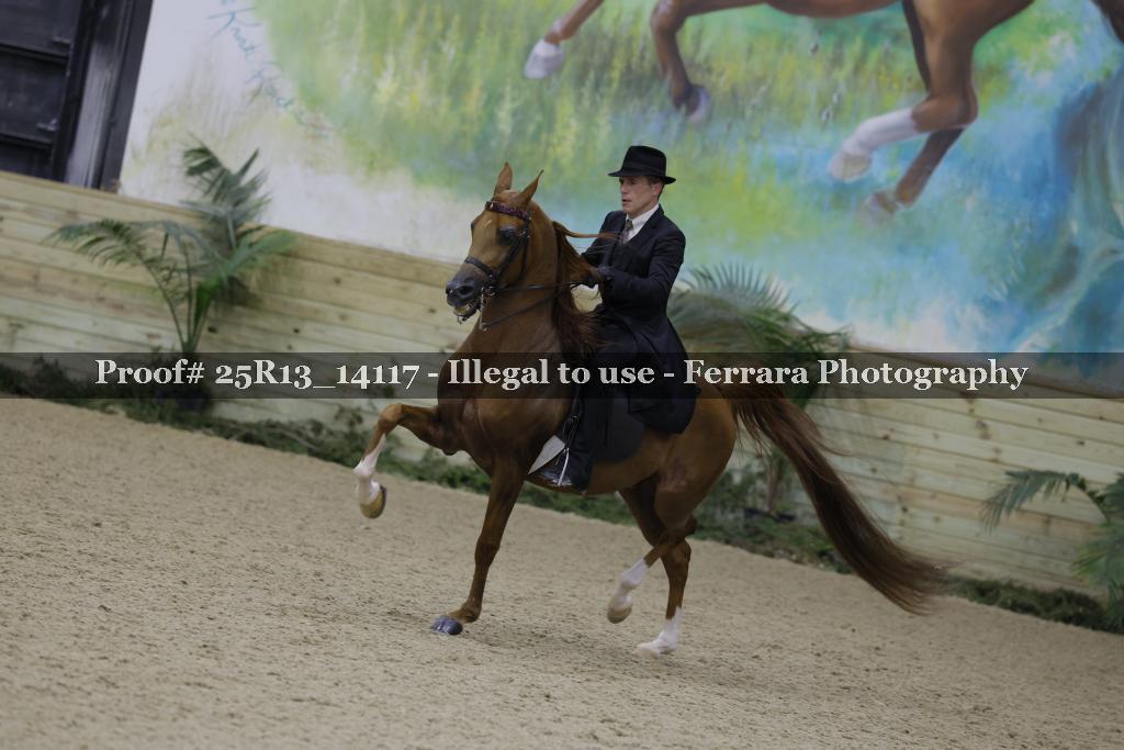 Proof Number 25R13_14117