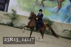 25R13_14117 thumbnail