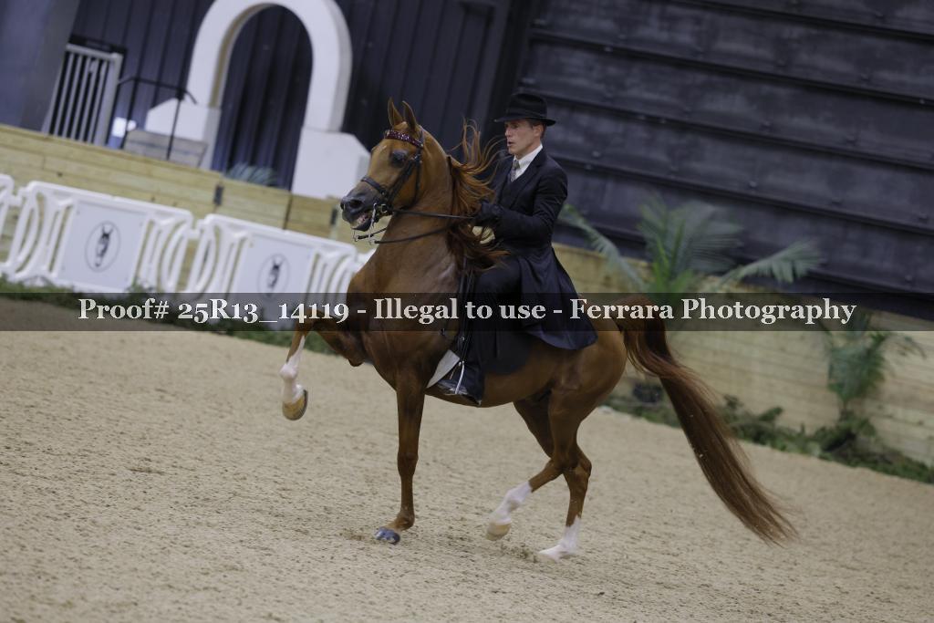 Proof Number 25R13_14119