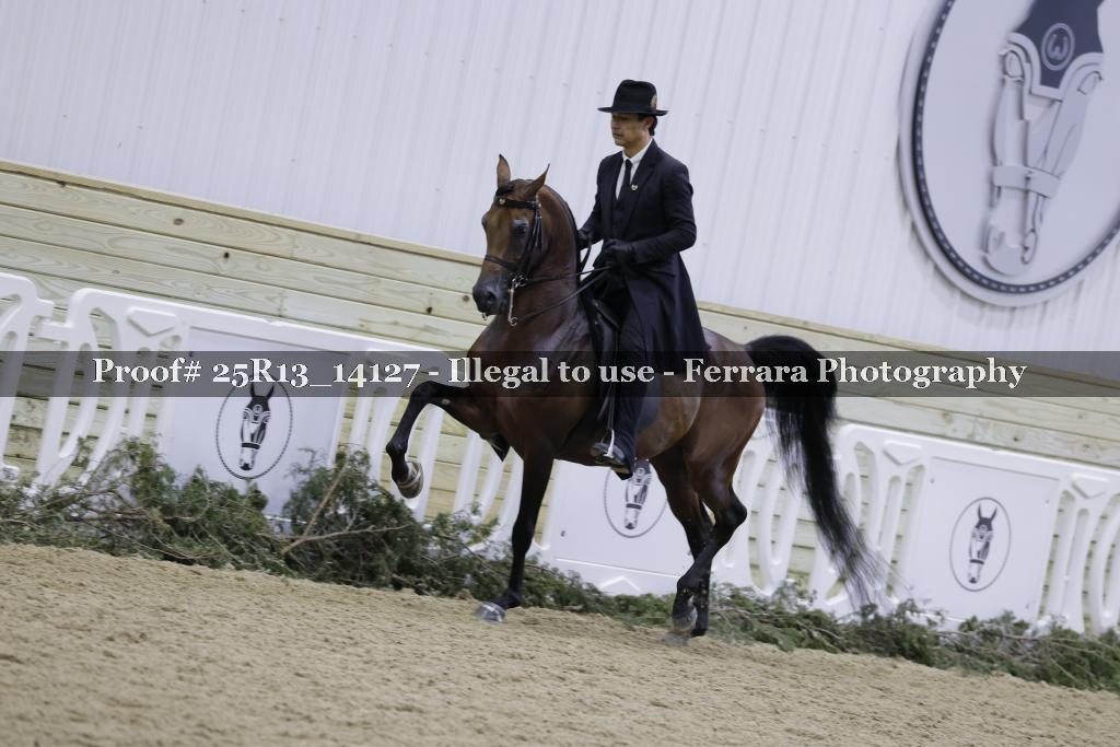 Proof Number 25R13_14127