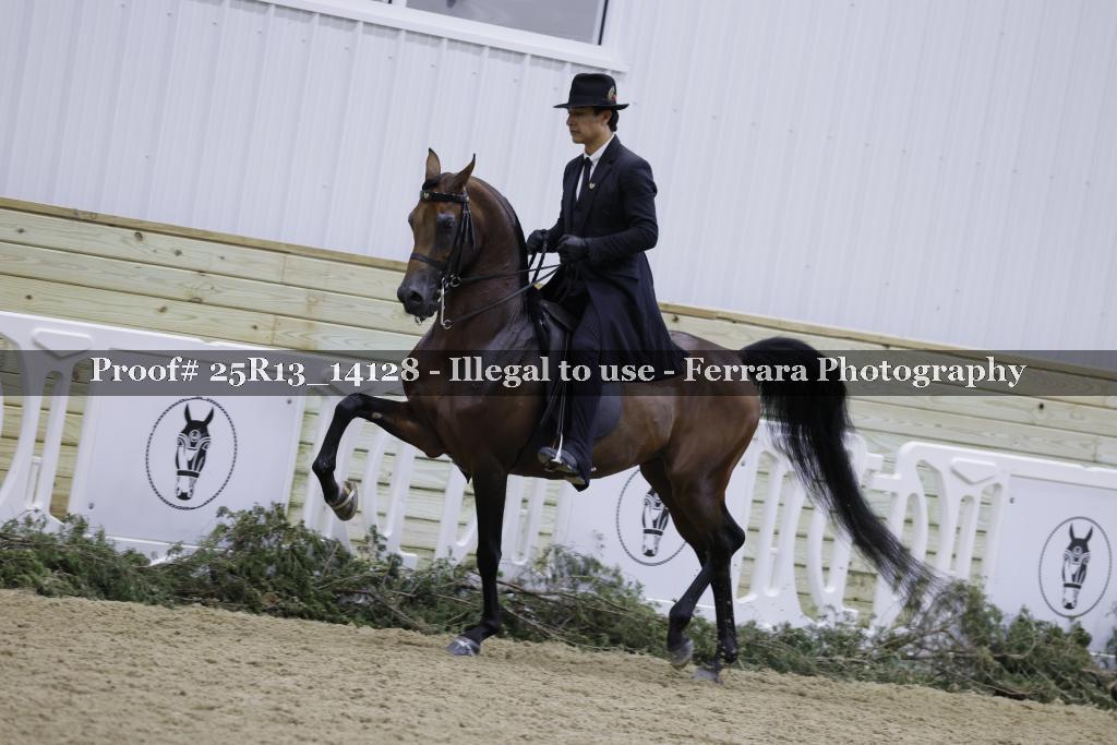 Proof Number 25R13_14128
