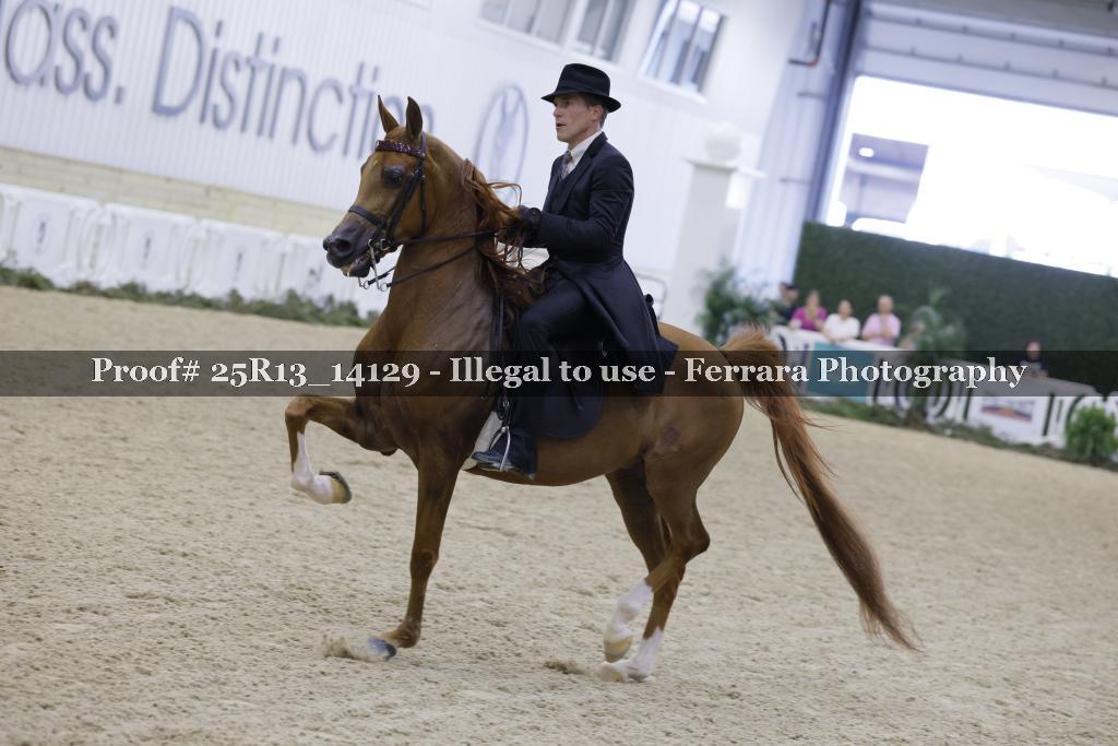 Proof Number 25R13_14129