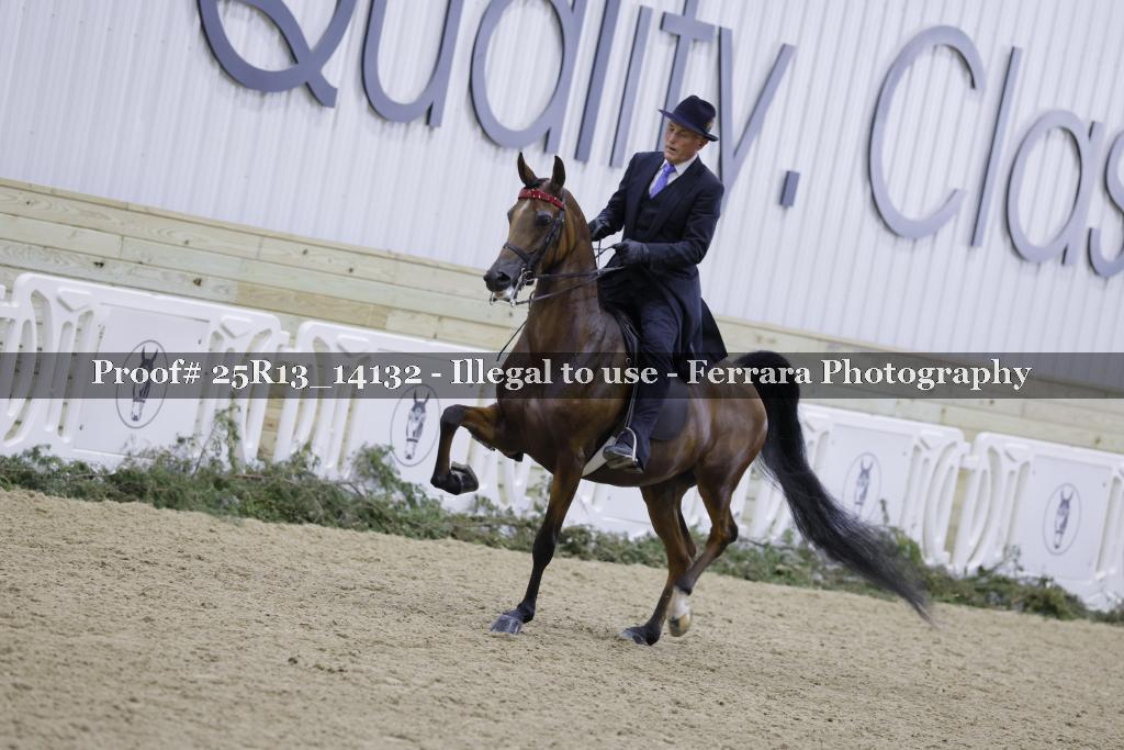 Proof Number 25R13_14132