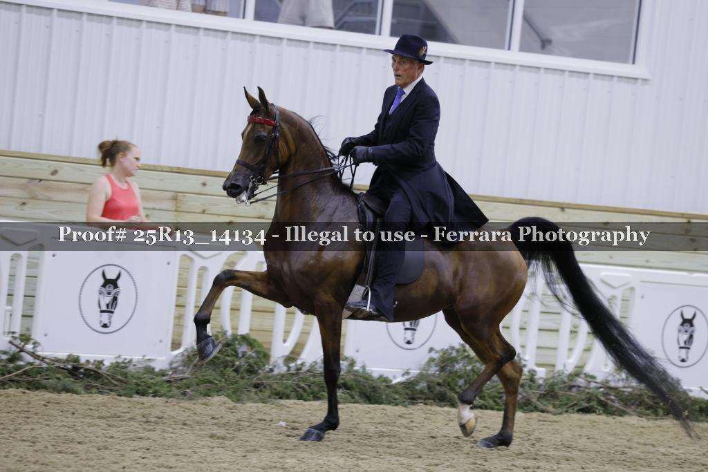 Proof Number 25R13_14134