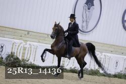 25R13_14136 thumbnail
