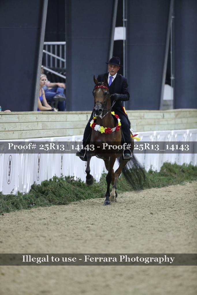 Proof Number 25R13_14143