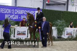 25R13_14144 thumbnail