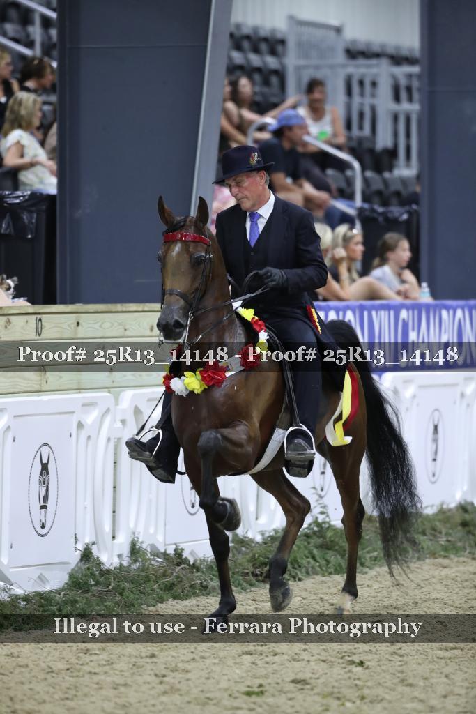 Proof Number 25R13_14148