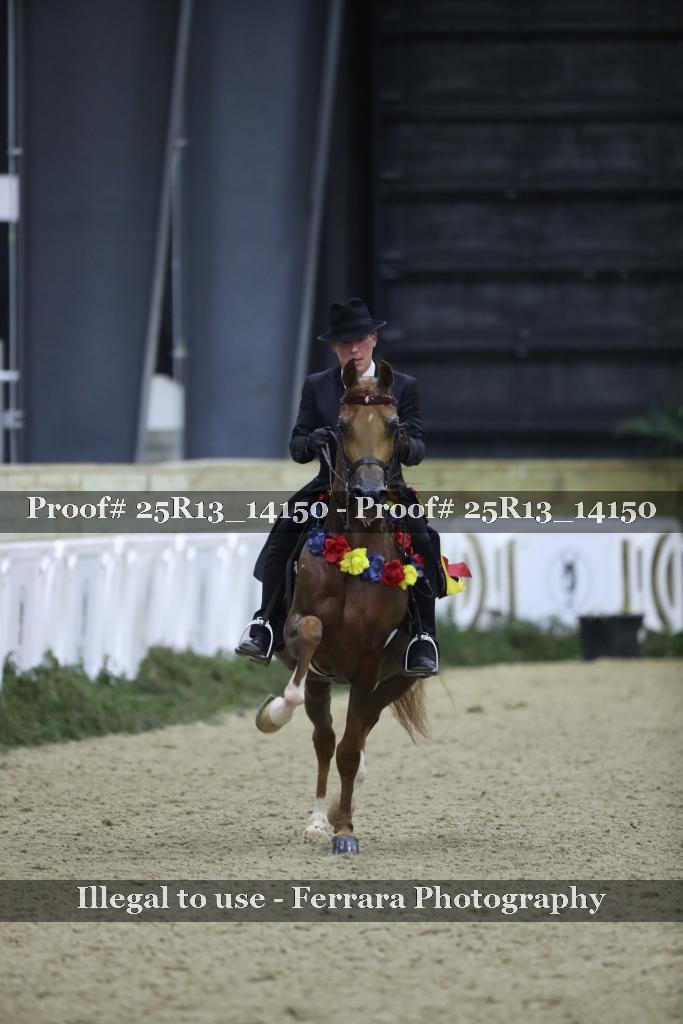 Proof Number 25R13_14150