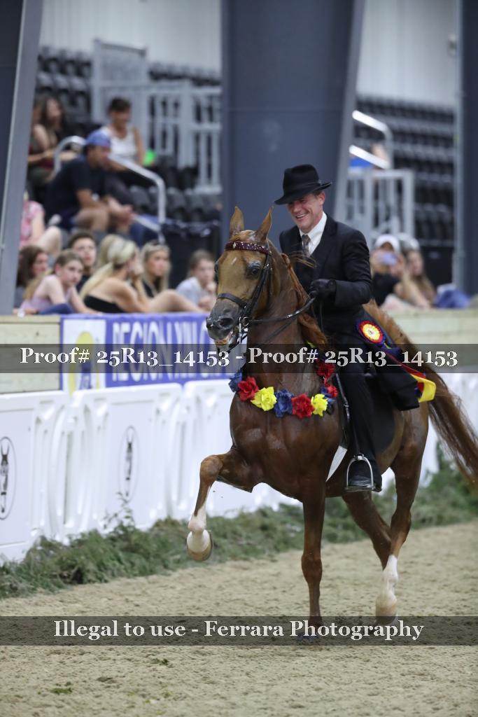 Proof Number 25R13_14153