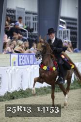 25R13_14153 thumbnail