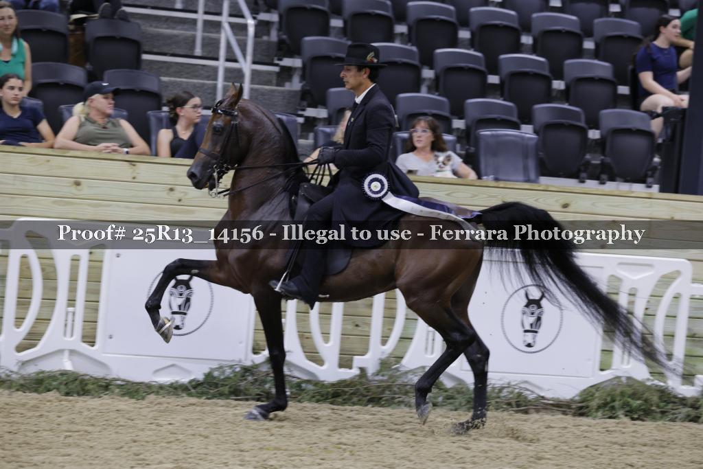 Proof Number 25R13_14156