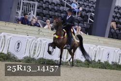 25R13_14157 thumbnail