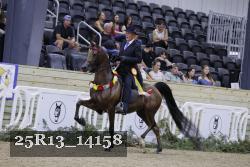 25R13_14158 thumbnail