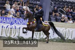 25R13_14159 thumbnail