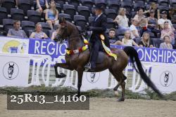 25R13_14160 thumbnail