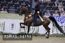 25R13_14161 thumbnail