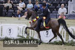 25R13_14162 thumbnail