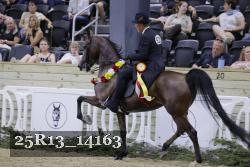25R13_14163 thumbnail