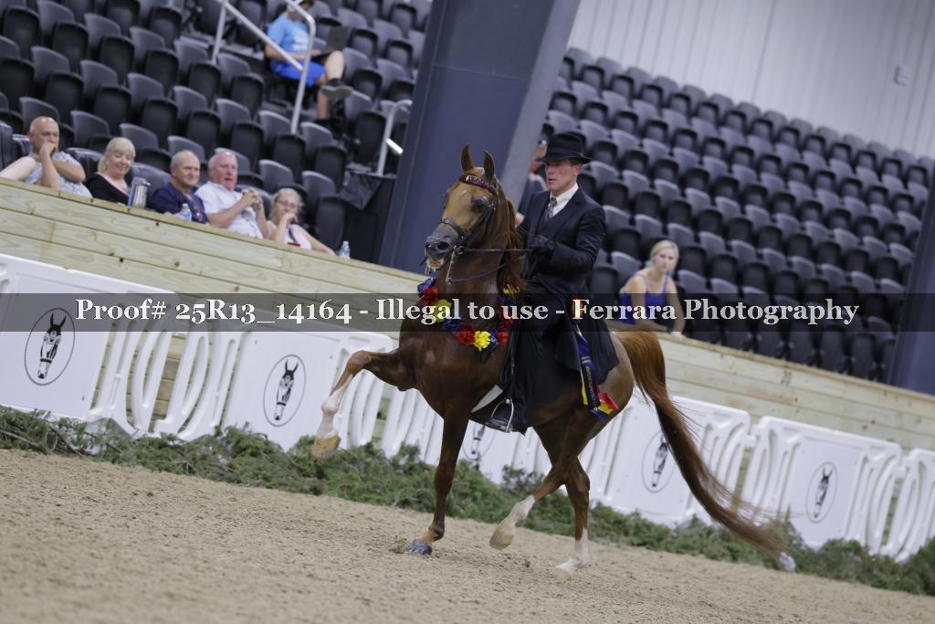Proof Number 25R13_14164