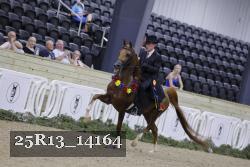 25R13_14164 thumbnail
