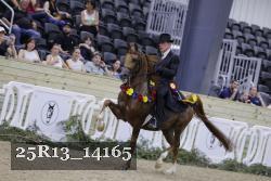 25R13_14165 thumbnail