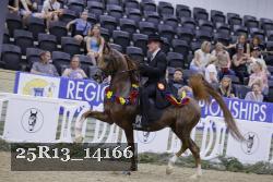 25R13_14166 thumbnail