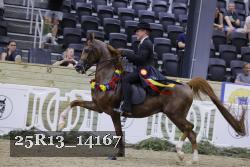 25R13_14167 thumbnail