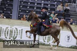 25R13_14168 thumbnail