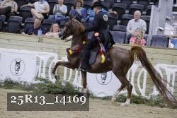 25R13_14169 thumbnail