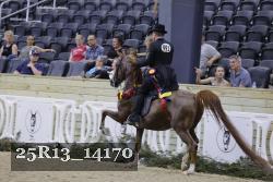 25R13_14170 thumbnail