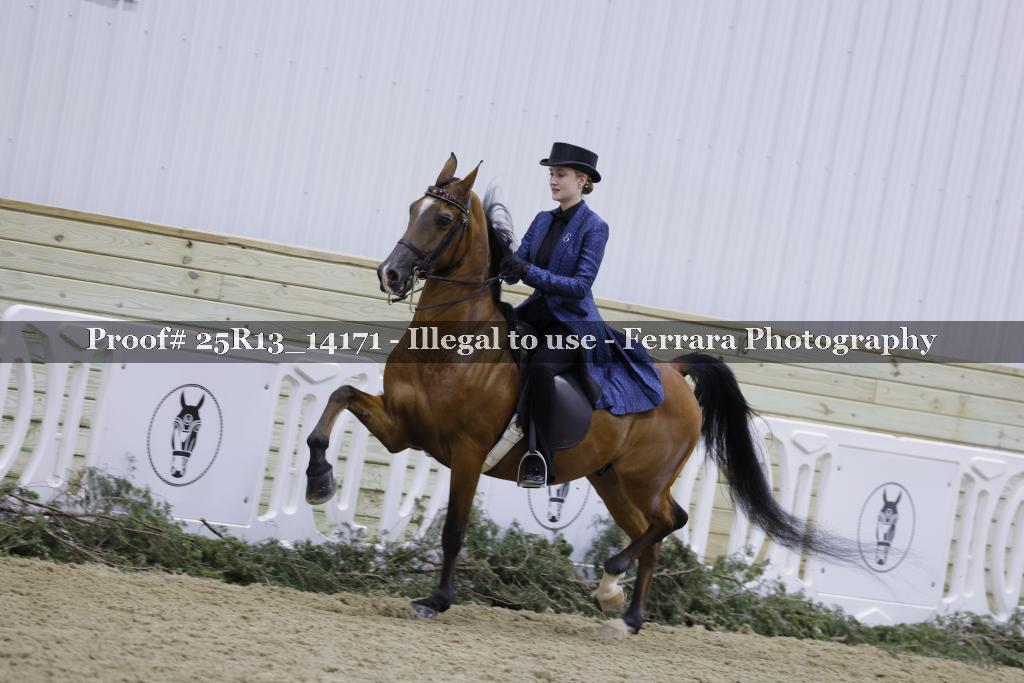 Proof Number 25R13_14171