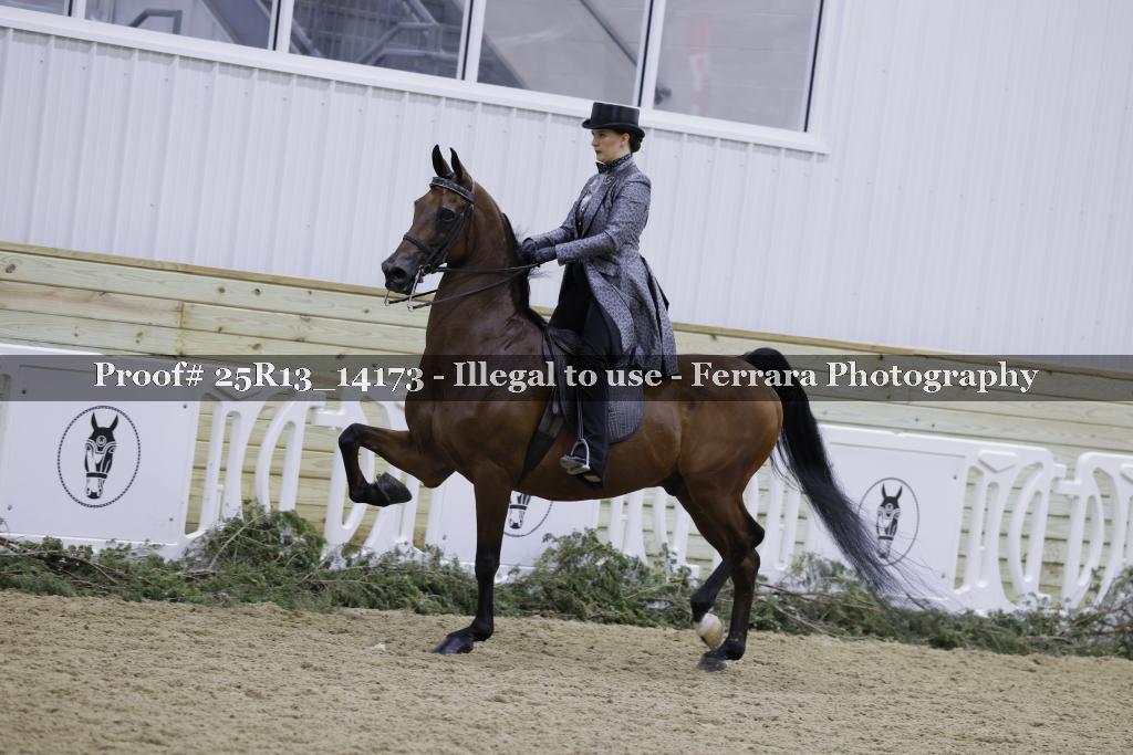 Proof Number 25R13_14173