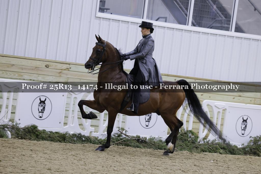 Proof Number 25R13_14174